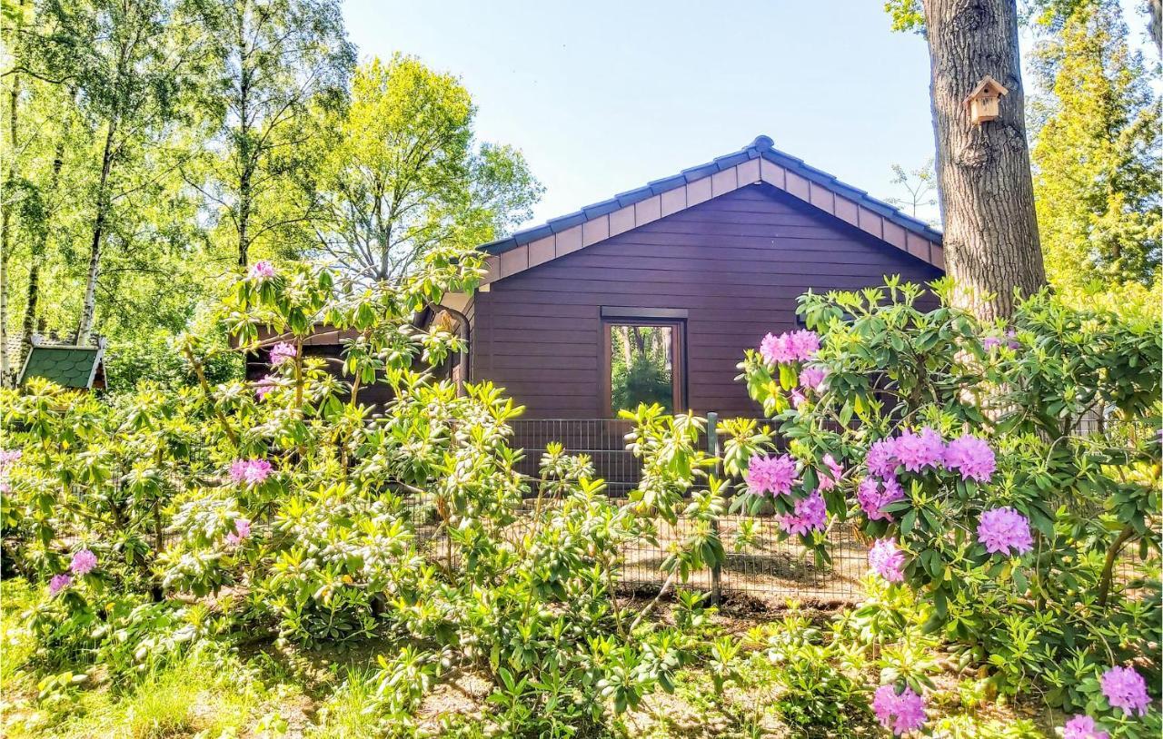 Pet Friendly Home In Haren With Sauna Dankern Bagian luar foto